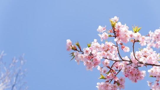 新しい出会いが増える季節🌸